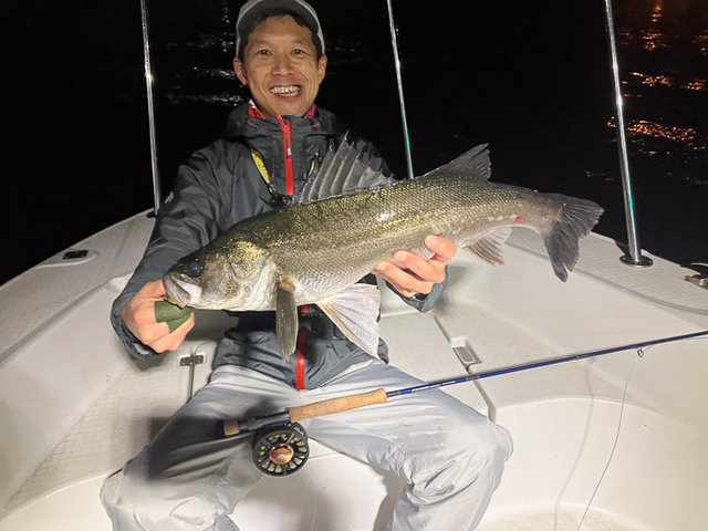 シーバス(スズキ)