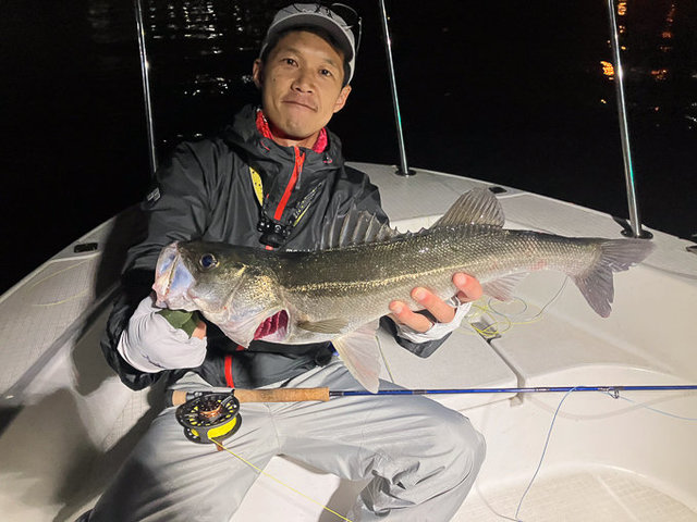 シーバス(スズキ)