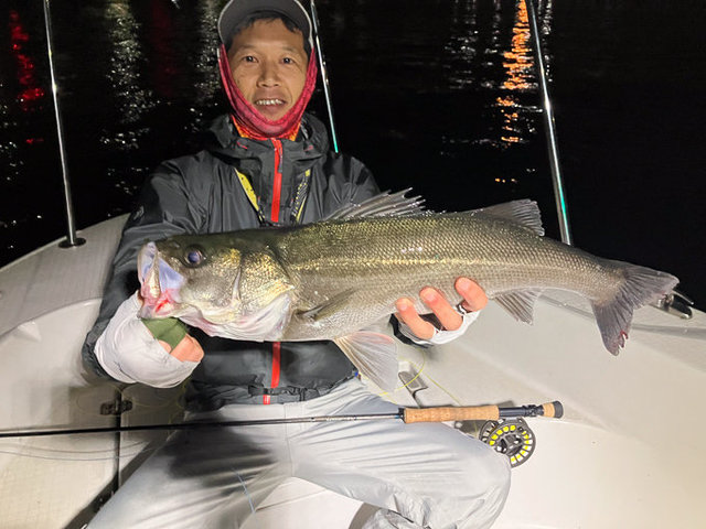 シーバス(スズキ)