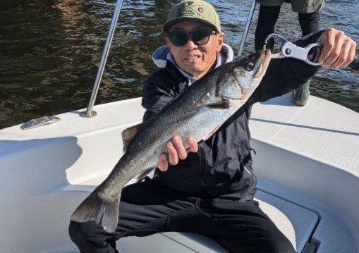 シーバス(スズキ)