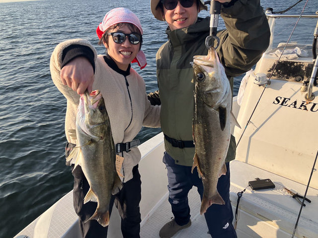 シーバス(スズキ)