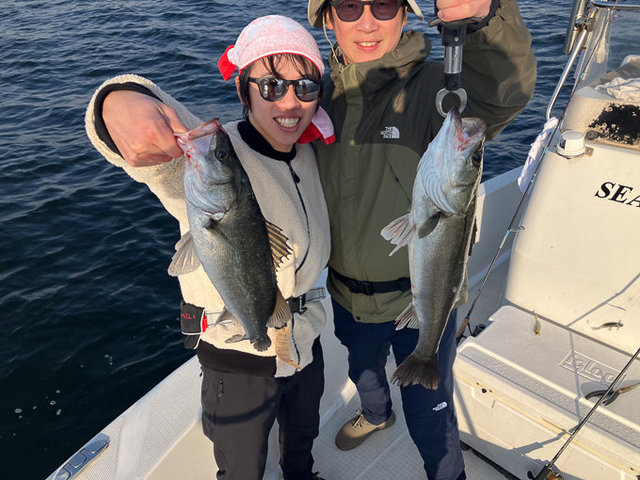 シーバス(スズキ)