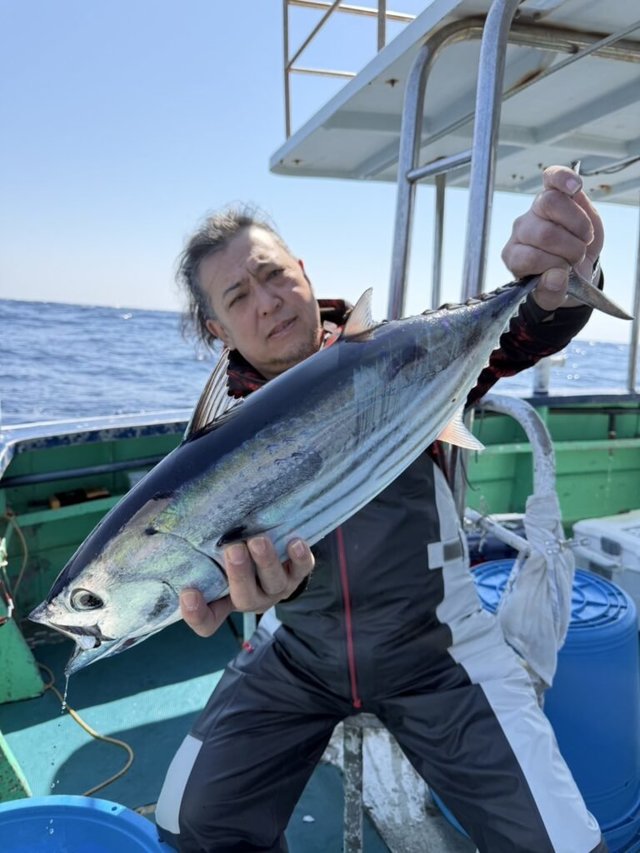 ビンチョウ(ビンナガ)