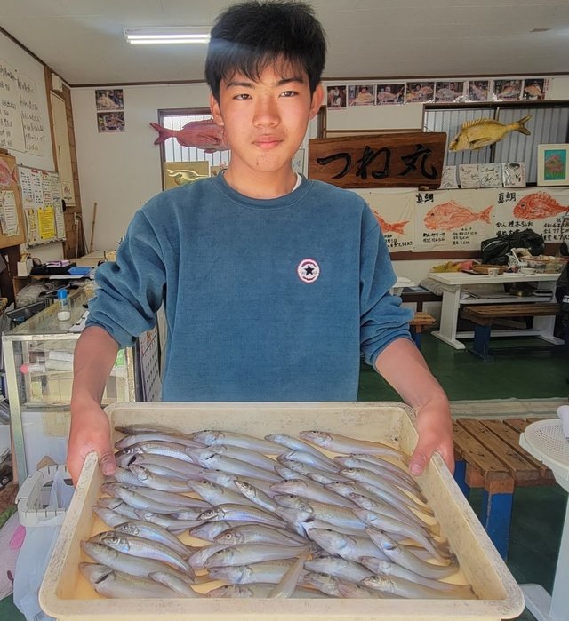 キス(シロギス)