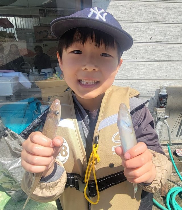 キス(シロギス)