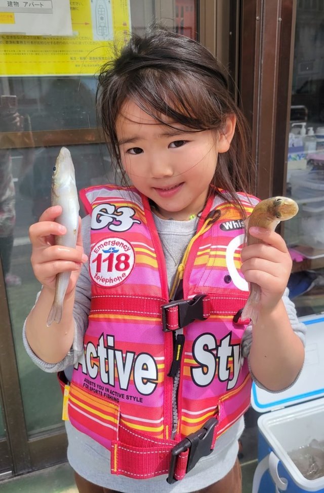 キス(シロギス)