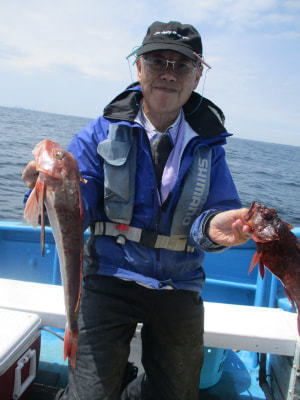 カサゴ・ホウボウ