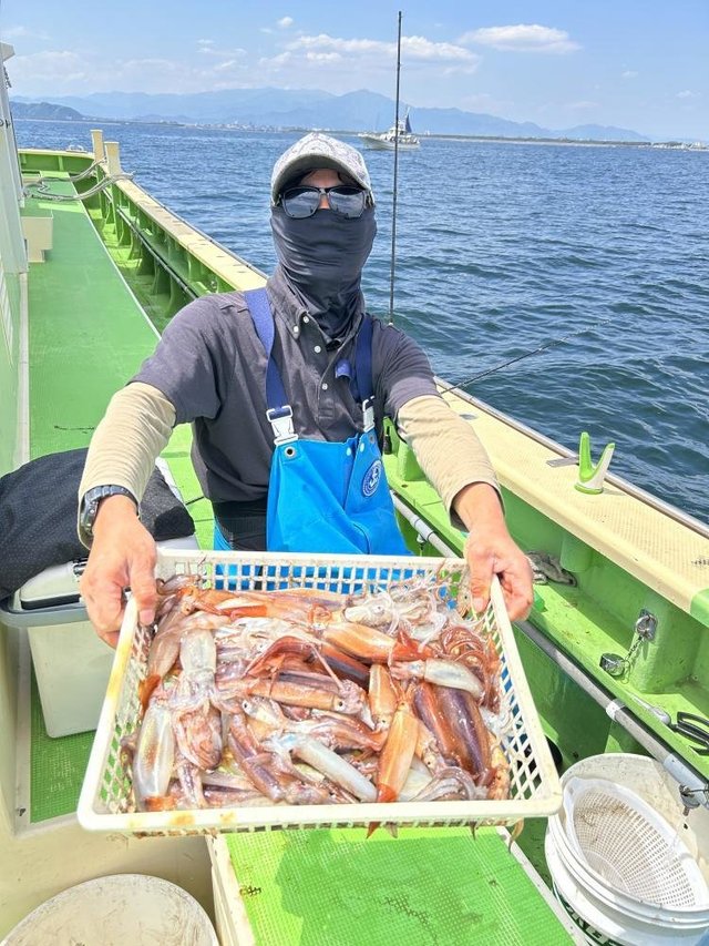 ムギイカ(スルメイカ)