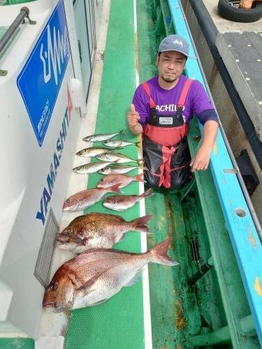 マダイ・アジ(マアジ)