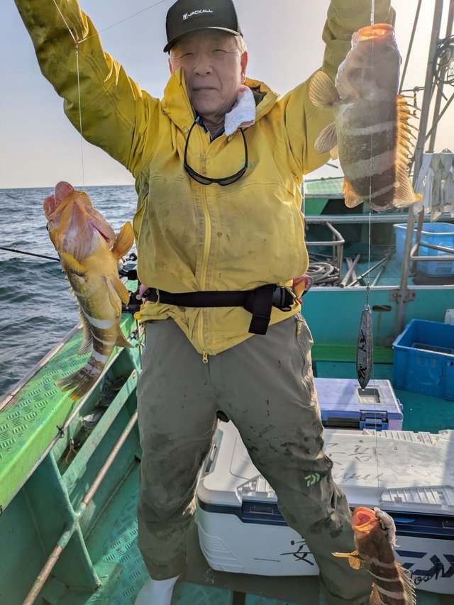 アオナ(アオハタ)