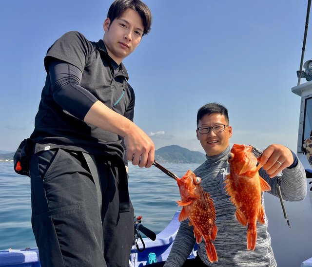 ウッカリカサゴ