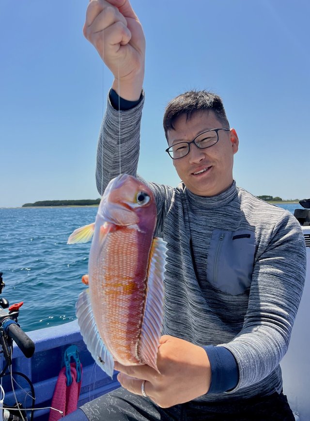 アマダイ(アカアマダイ)