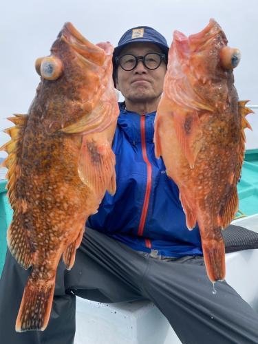 カンコ(ウッカリカサゴ)