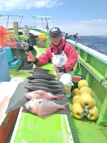 マダイ・アジ(マアジ)