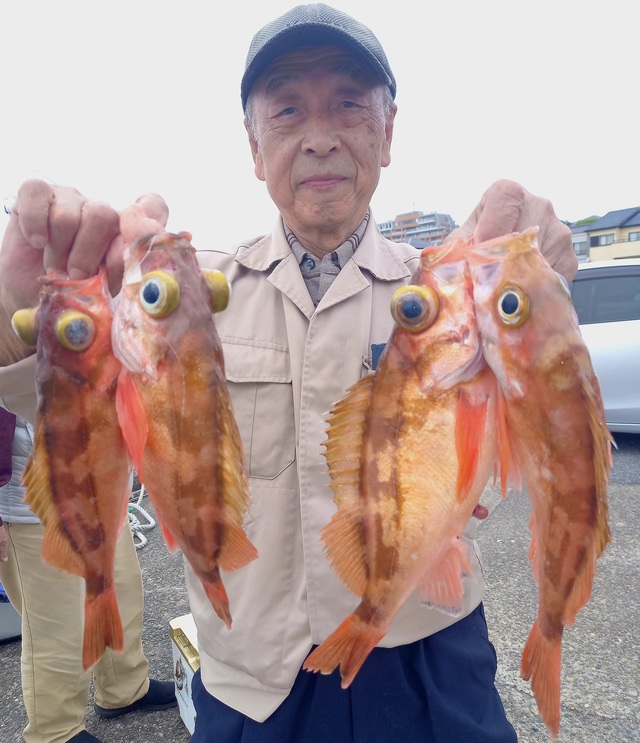 オキメバル(ウスメバル)