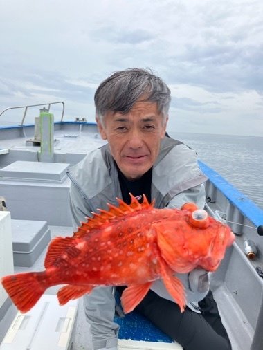 カンコ(ウッカリカサゴ)