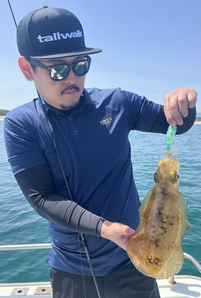 イカ(アオリイカ)