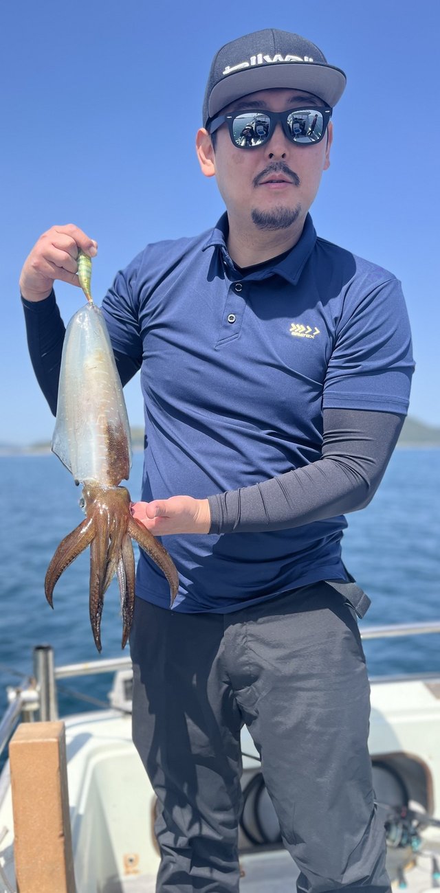 イカ(アオリイカ)