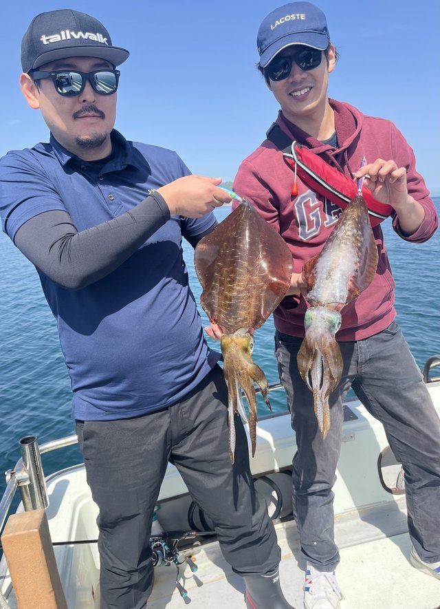 イカ(アオリイカ)