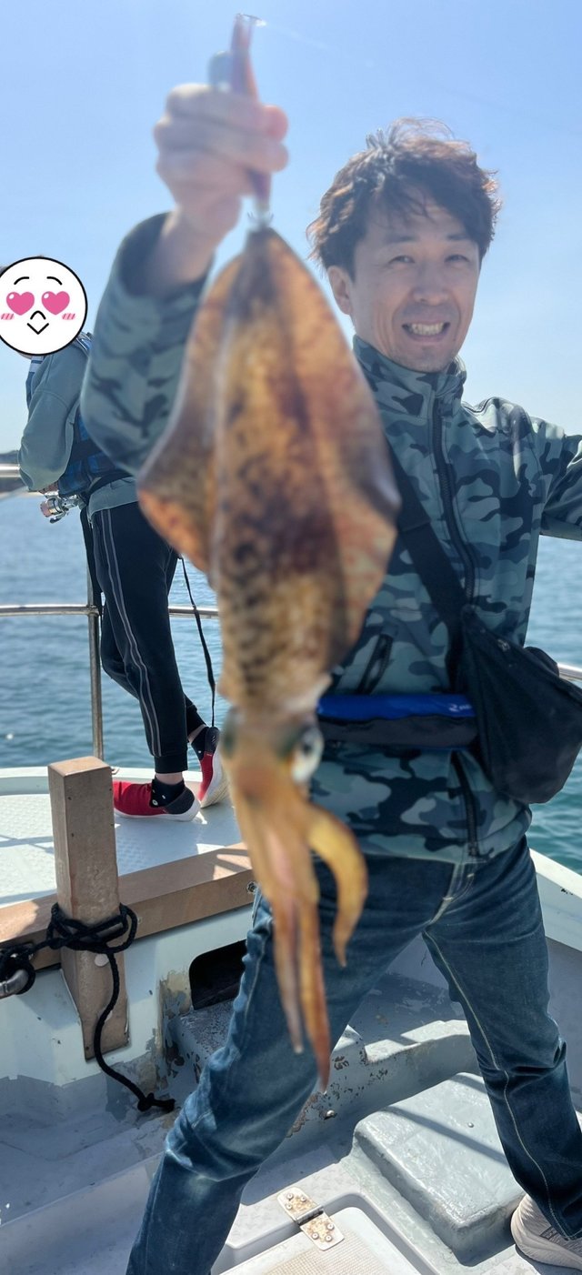 イカ(アオリイカ)