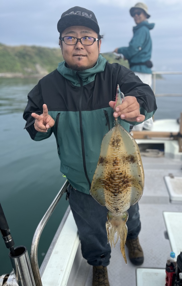 イカ(アオリイカ)