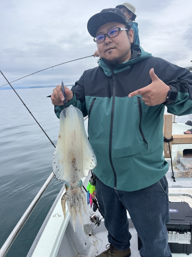 イカ(アオリイカ)