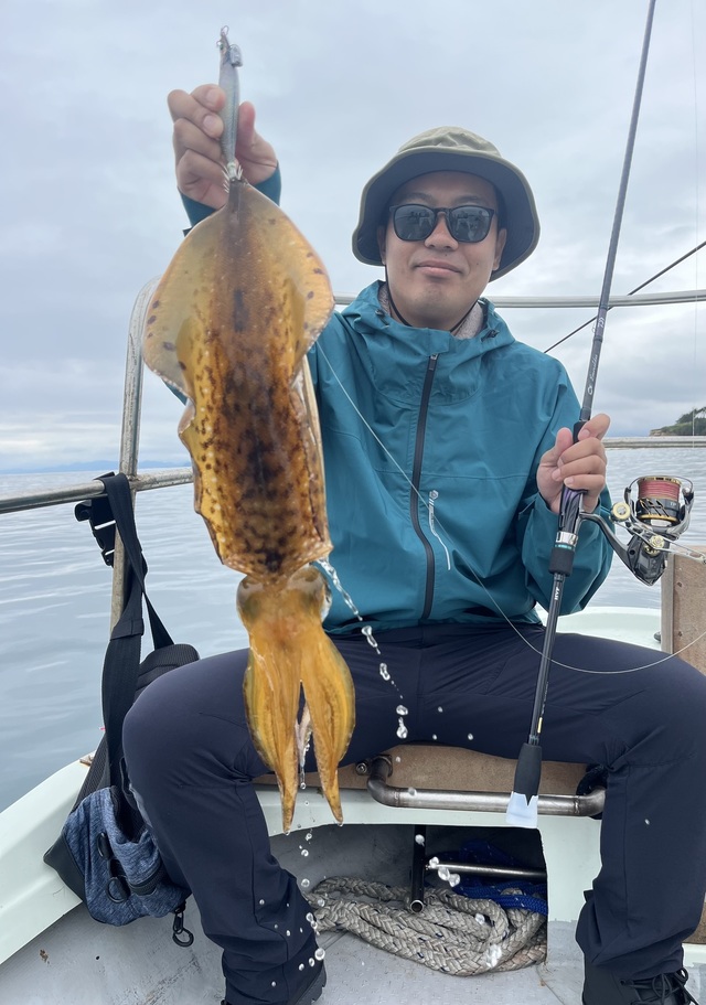 イカ(アオリイカ)