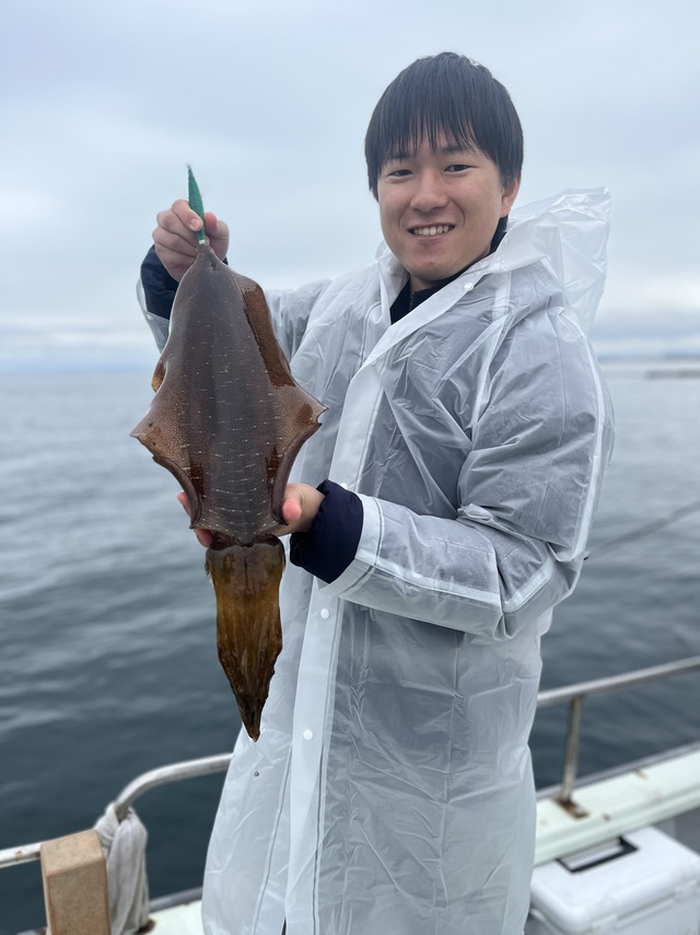 イカ(アオリイカ)