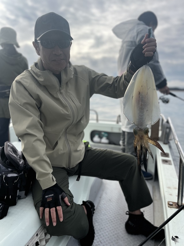 イカ(アオリイカ)