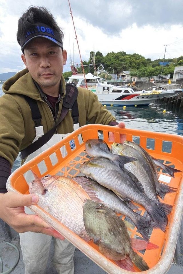 マダイ・クロダイ・イサキ