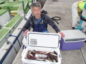 マアジ・イサキ