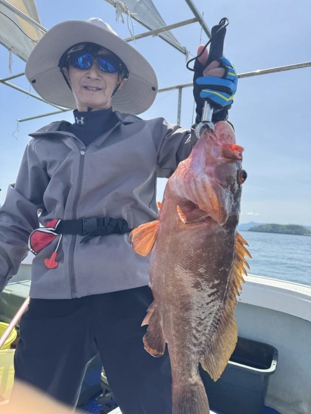 アコウ(キジハタ)