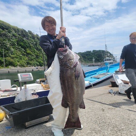 イシナギ(オオクチイシナギ)