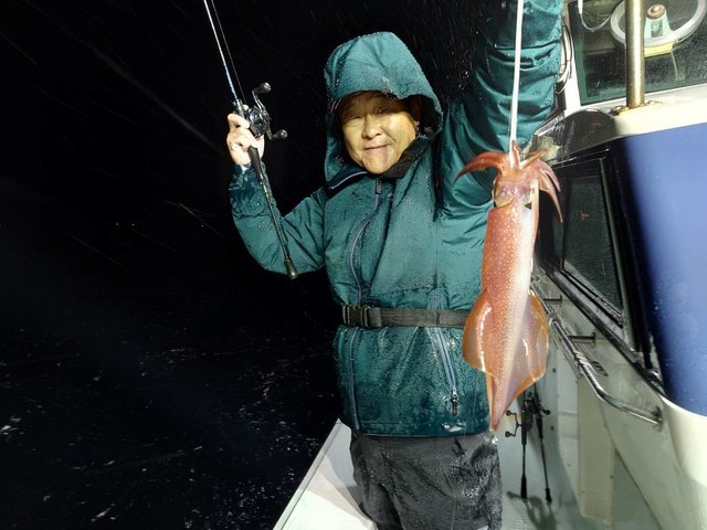 マイカ(ケンサキイカ)