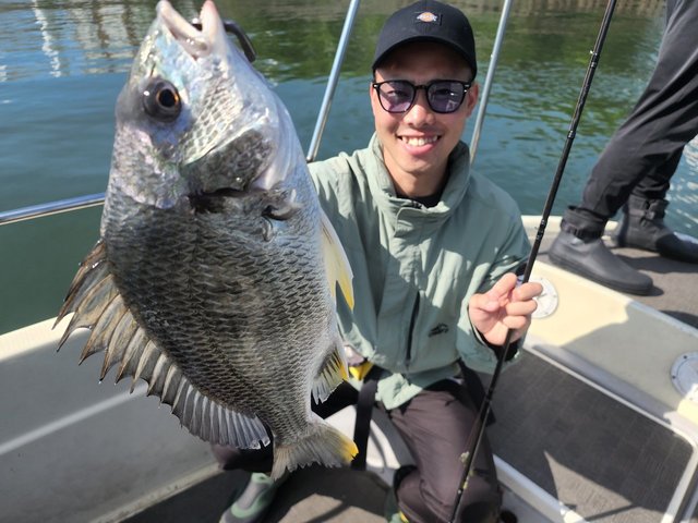 キビレ(キチヌ)