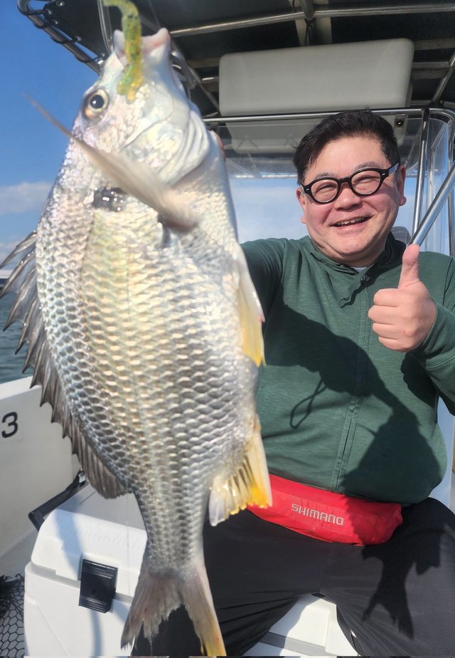 キビレ(キチヌ)