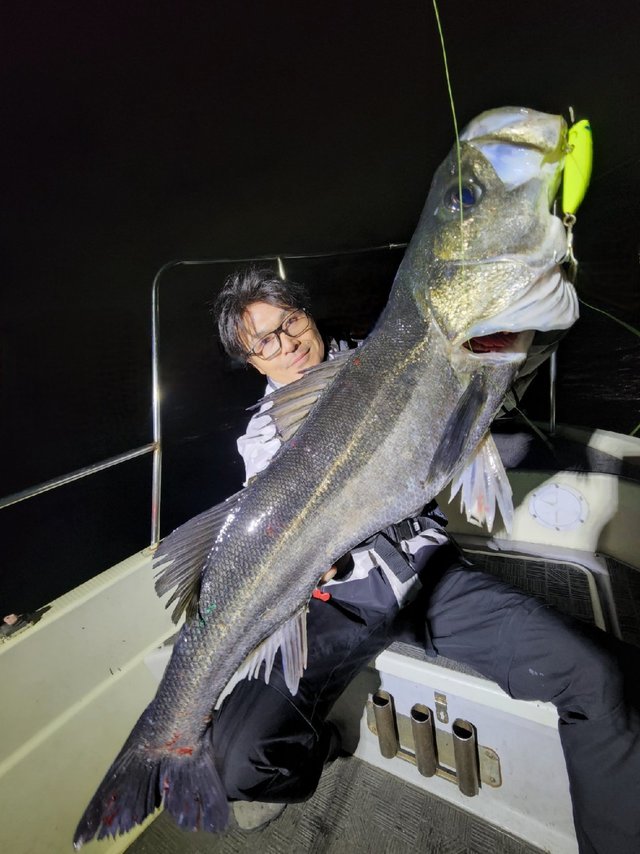 シーバス(スズキ)