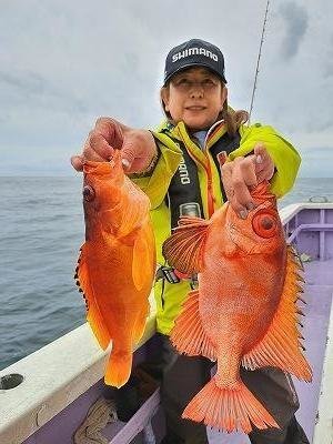 アカイサキ・キントキ(チカメキントキ)