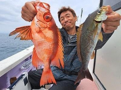 イサキ・キントキ(チカメキントキ)