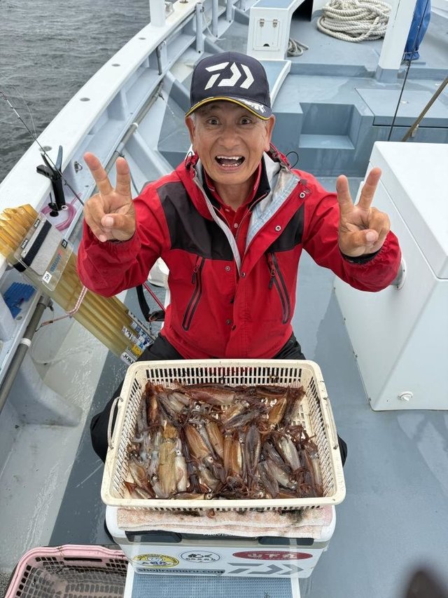 ムギイカ(スルメイカ)