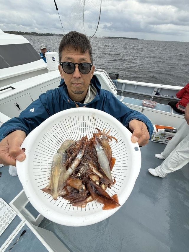 ムギイカ(スルメイカ)