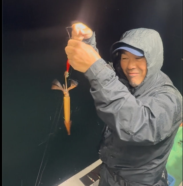 ムギイカ(スルメイカ)