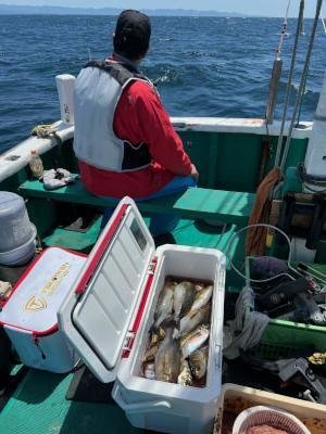 イサギ(イサキ)