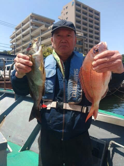 マダイ・イサキ