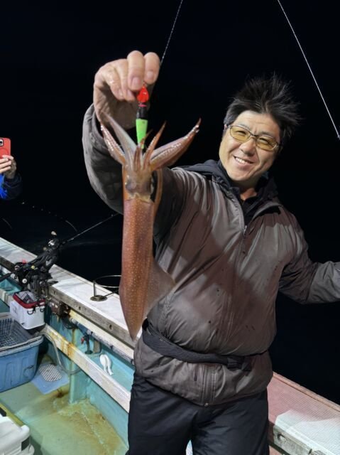 マイカ(ケンサキイカ)