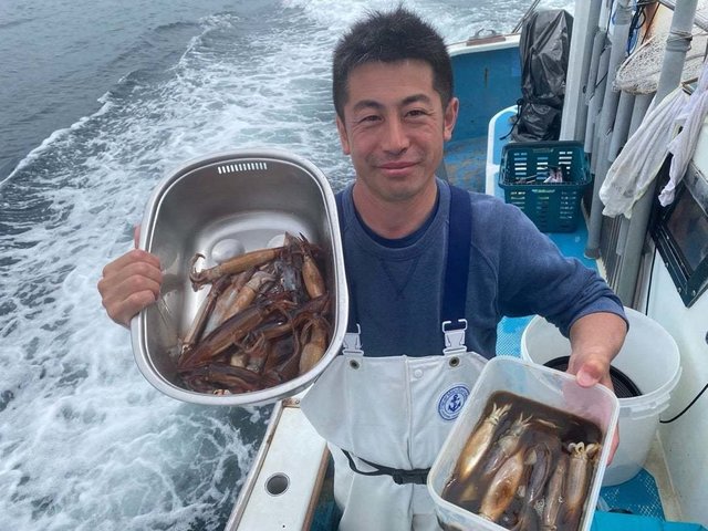 ムギイカ(スルメイカ)