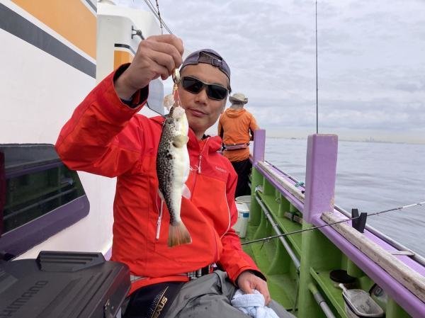 ショウサイフグ