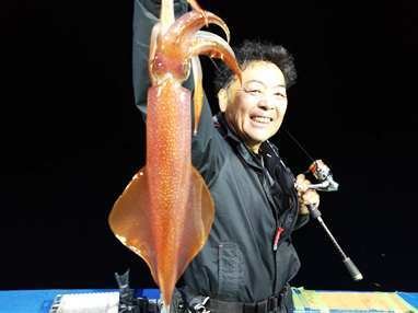 マイカ(ケンサキイカ)