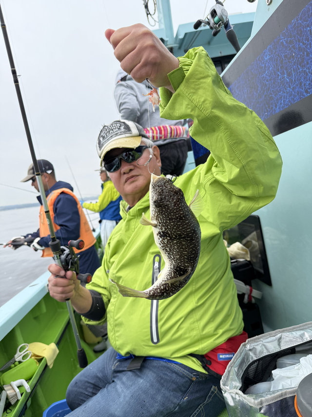 フグ(ショウサイフグ)