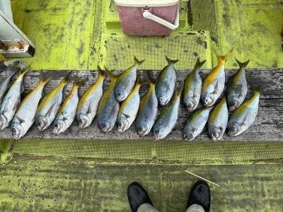 ウメイロ・イサキ